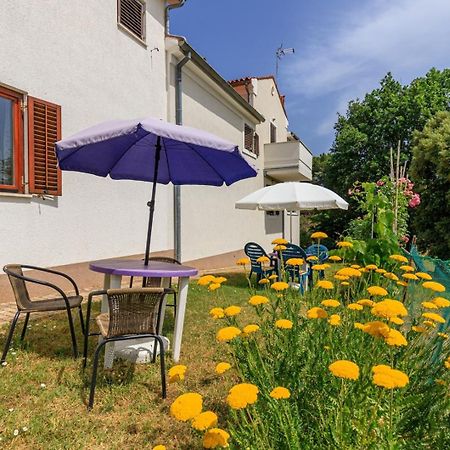Apartments Pernar بوريتش المظهر الخارجي الصورة