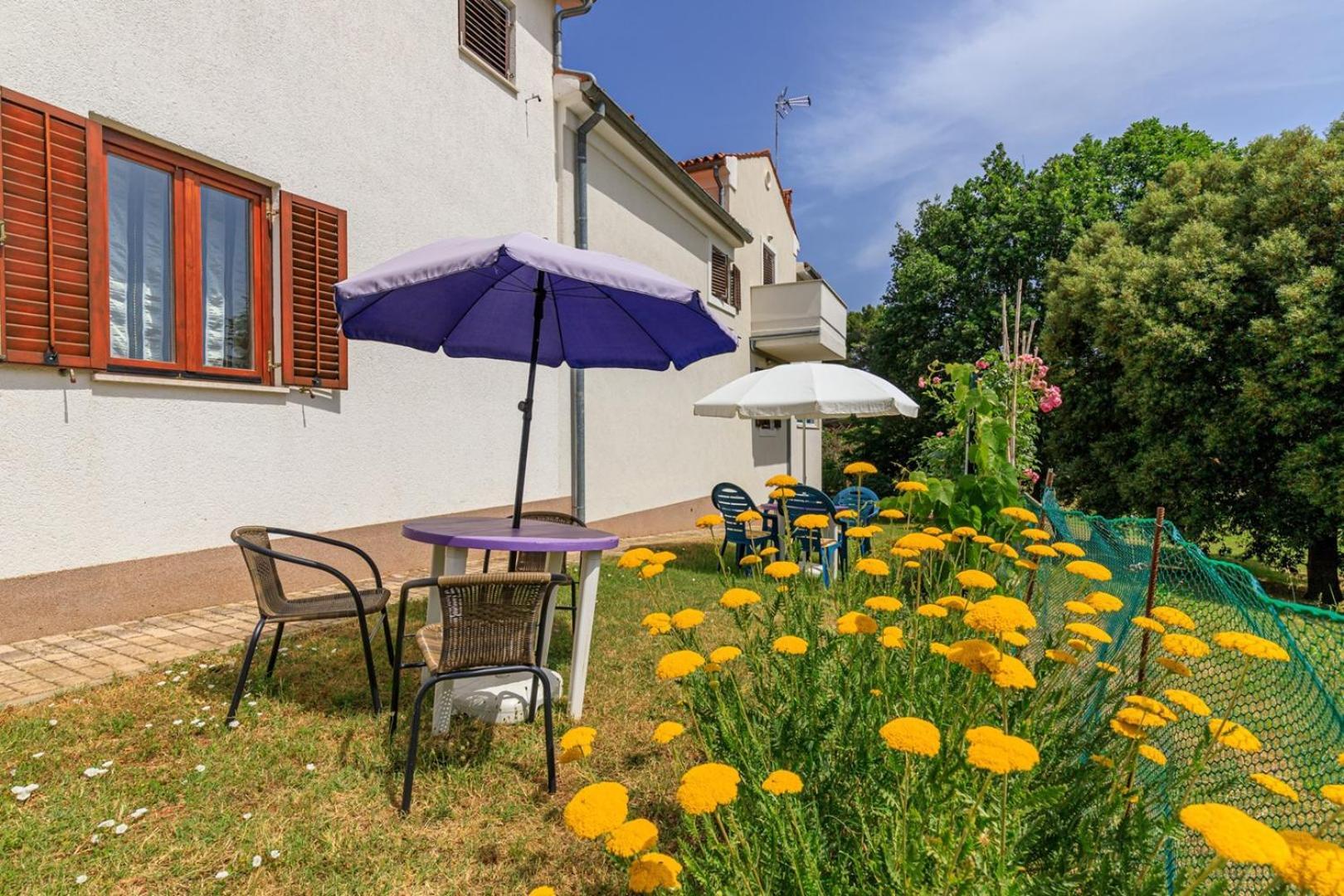 Apartments Pernar بوريتش المظهر الخارجي الصورة