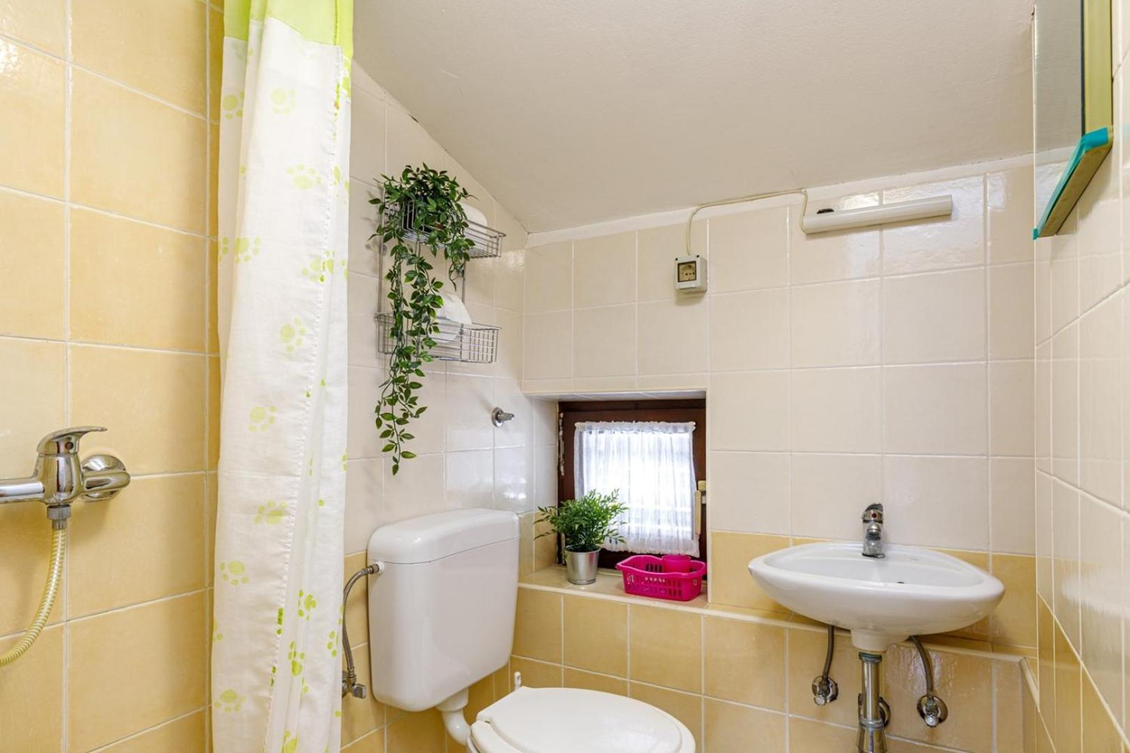 Apartments Pernar بوريتش الغرفة الصورة